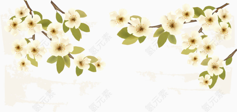矢量手绘梨花花枝