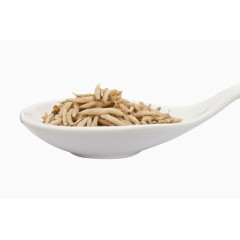 中草药麦冬免抠素材