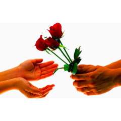 男人送女人玫瑰花