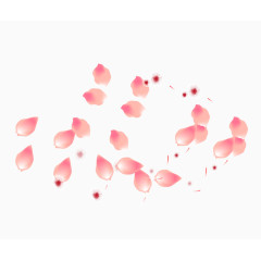 飘落的粉色花瓣
