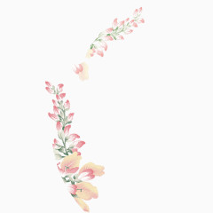 粉色花瓣绿叶枝条