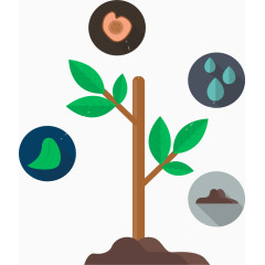科学研究树