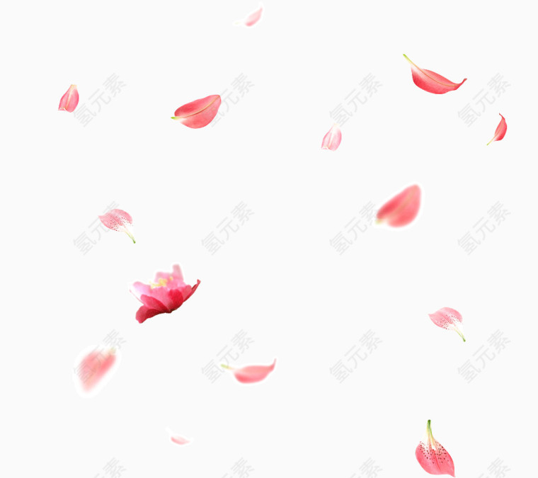 花瓣