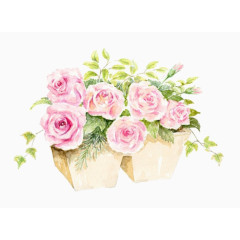 石头里的玫瑰图片素材