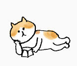 手绘猫咪插画表情包