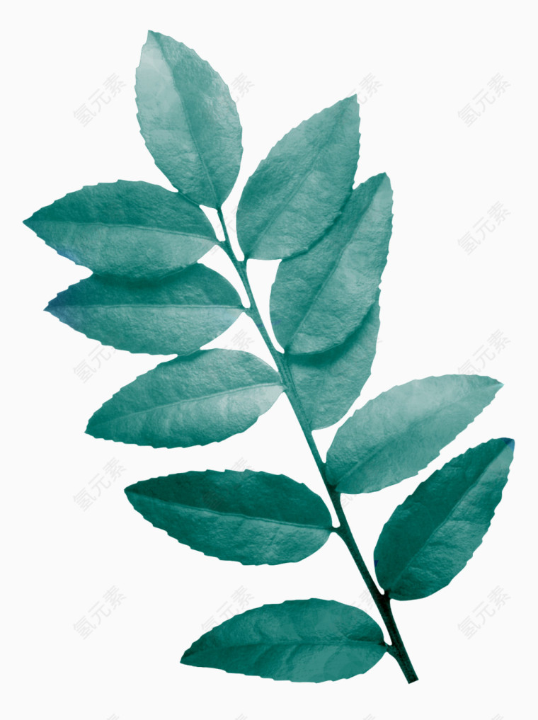 魔幻背景植物树叶