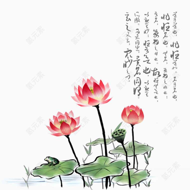 映日荷花别样红