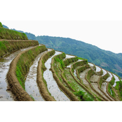云南梯田