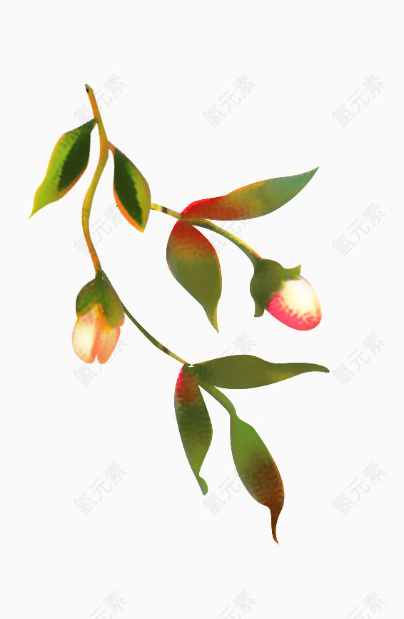 创意花枝