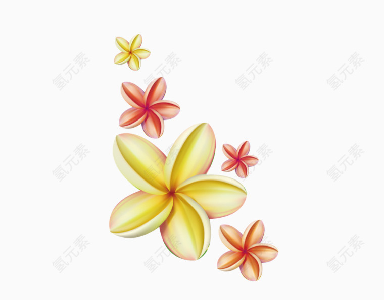 旋花