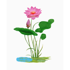 荷花元素