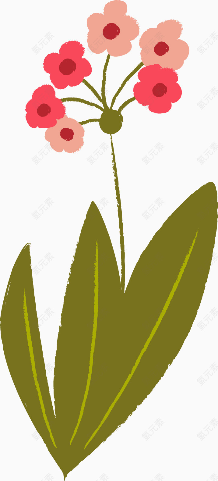 粉色花朵