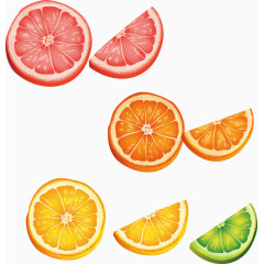 矢量手绘切开的橙子