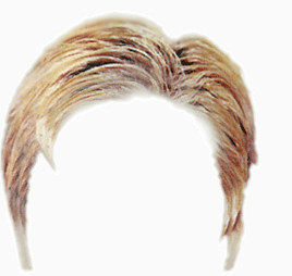 头发   假发   发型