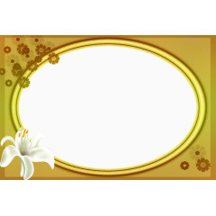 黄色椭圆边框