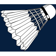 羽毛球运动健康简单