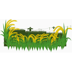 矢量田里金黄色的麦子丰收