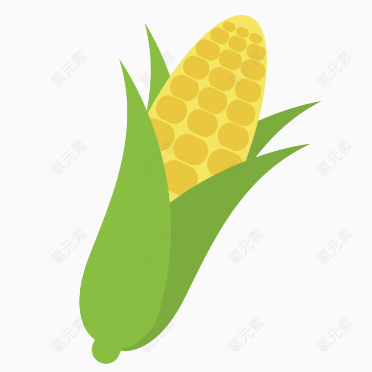 矢量果实苞米
