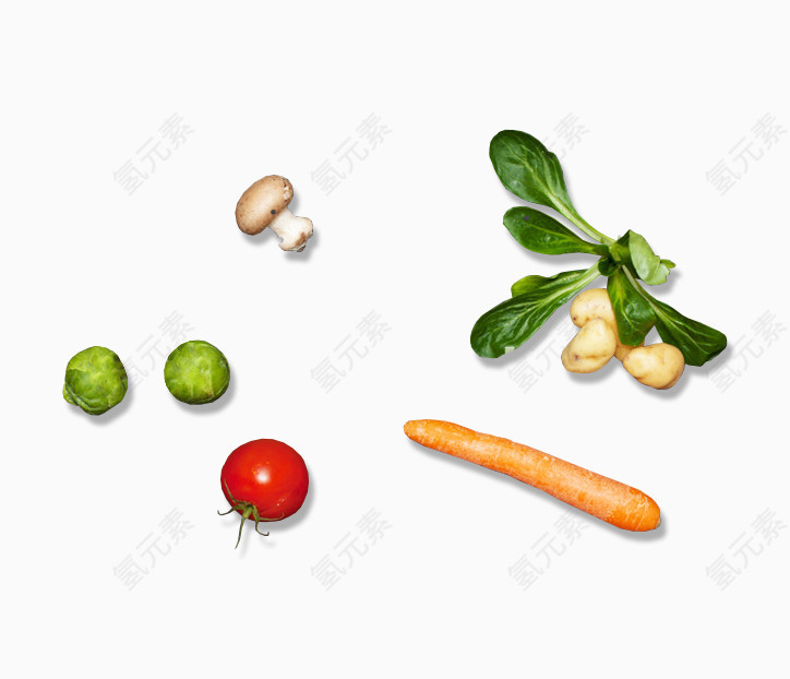 萝卜青菜