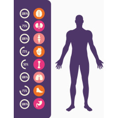 矢量男性数据图