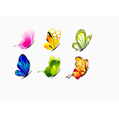 各种各样的蝴蝶