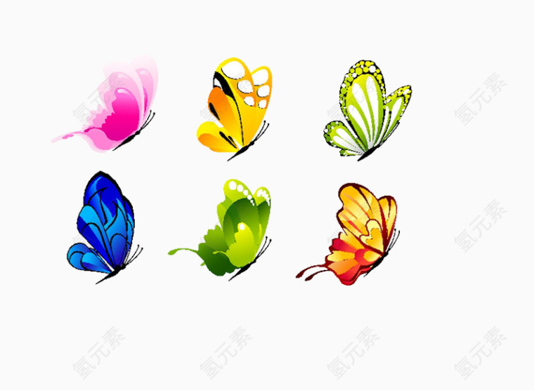 各种各样的蝴蝶