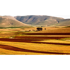 丰宁坝上风景图