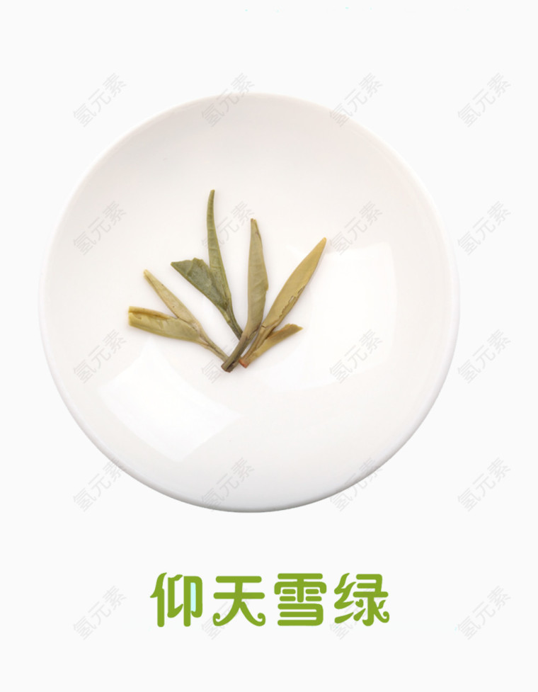 仰天雪绿