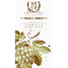 顶级红酒