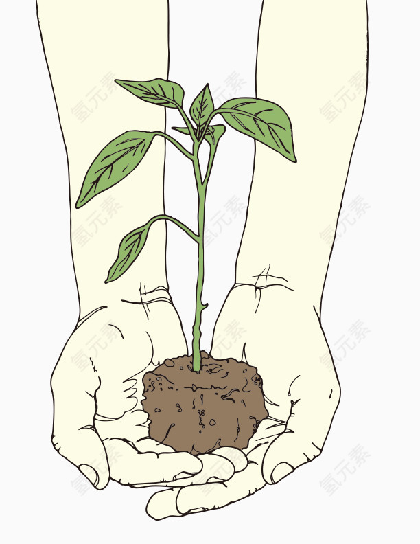 手捧绿植手捧绿树