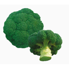 新鲜健康的西兰花