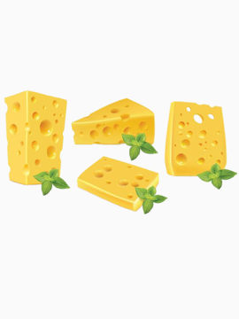 奶酪矢量图