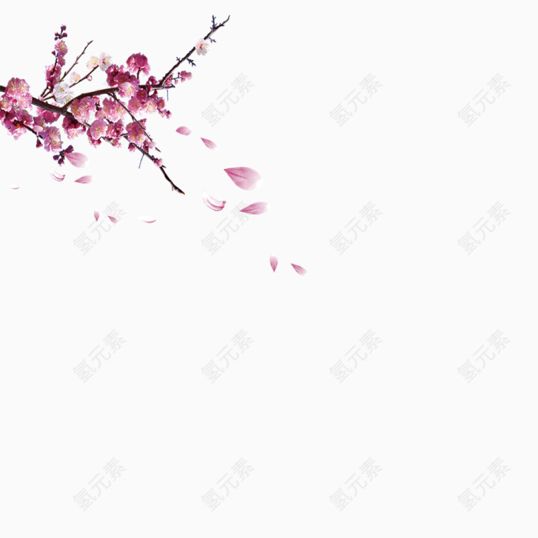 浪漫季节烟雨桃花节