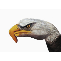 公益请伸出你的援手