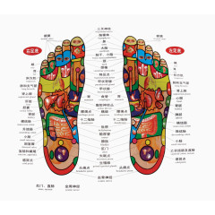 双脚足底穴位图