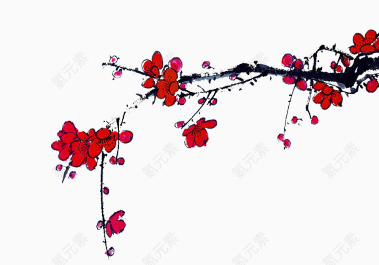 腊月寒梅图片素材