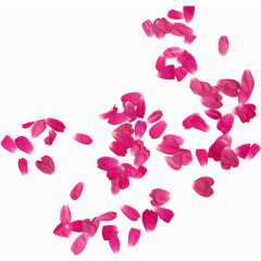 唯美粉红色飘落