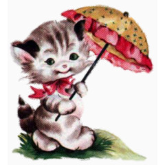 打伞的猫咪