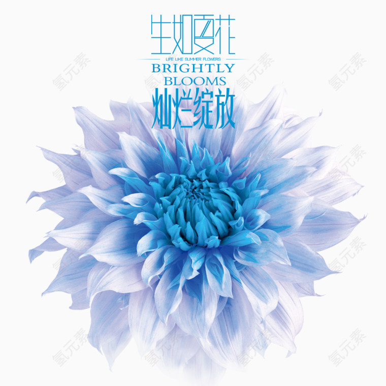 生如夏花