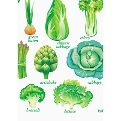矢量绿色蔬菜图