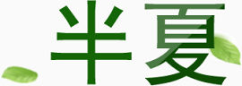 艺术字半夏