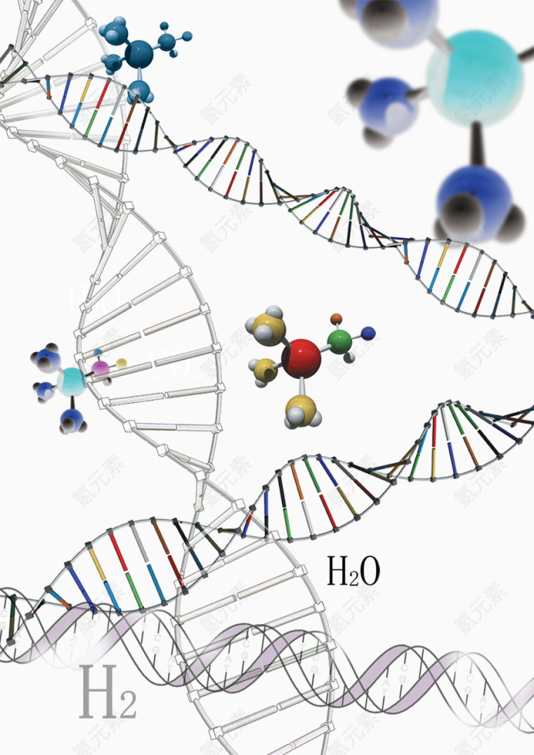 化学元素二氧化碳水分子