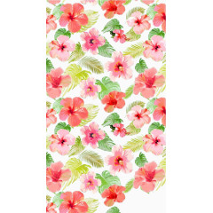 多彩花朵免抠素材