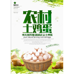 农村土鸡蛋