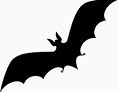 蝙蝠