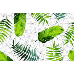 绿色叶子小清新背景