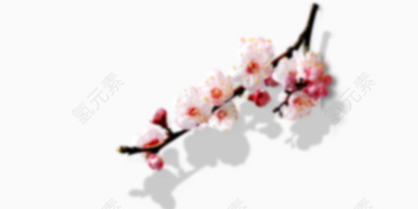 一枝红杏出墙来