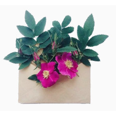 已花为约玫红色婚礼请柬