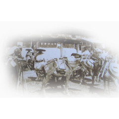 旧社会集市照片