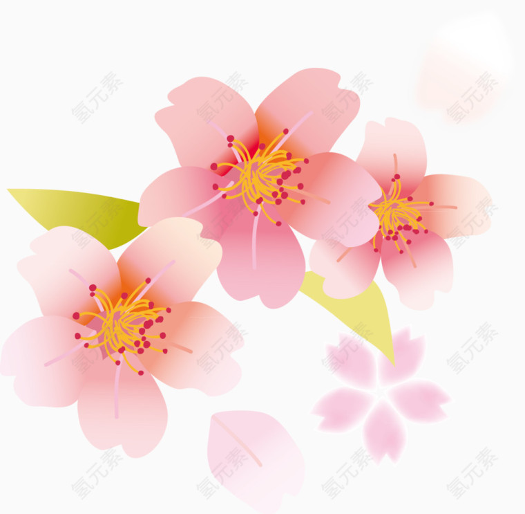 樱花花瓣元素